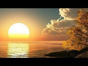 Video de bom dia com linda mensagem para Whatsapp e Facebook