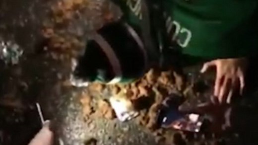 Shocking moment Eagles fan eats horse excrement
