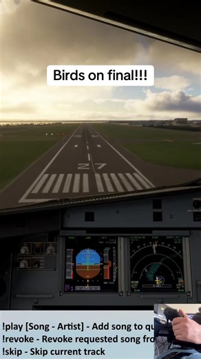 Birds on final at Liverpool! #flightsimulator #msfs #aviation #vatsim