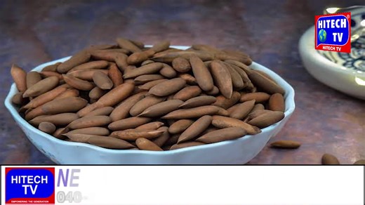 20 reactions | Health Benefits Of Pine Nut |Chilgooza | Hitech Tv News India | Facebook