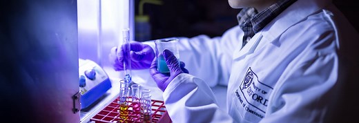 Department of Chemistry | University of Oxford