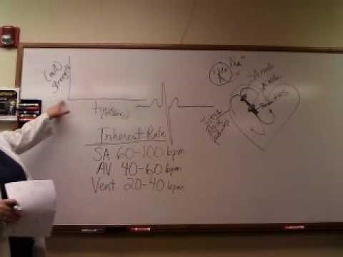 Basic Arrhythmia Part 1 Introduction