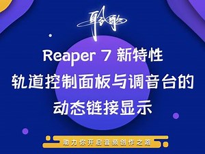 reaper 7.15安装教程
