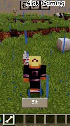 Hier dog in Minecraft Alok gaming #viral #minecraft #cars #gaming #shortvideo #funny #freefire