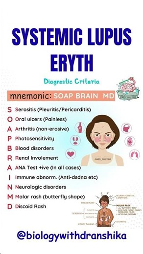Systemic Lupus Erythematosus (SLE)🩺 #systemic #lupus #erythematosus #autoimmunedisease #biology
