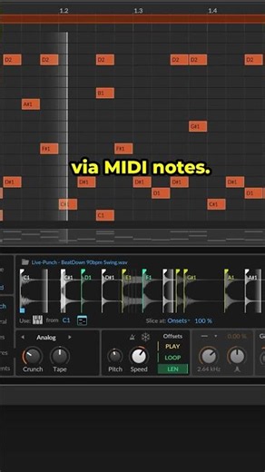 Advanced slicing in Bitwig’s Sampler🍴
