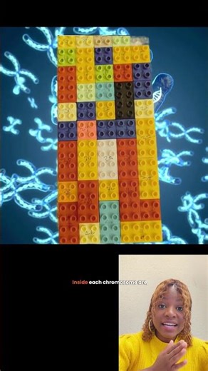 What are genes part 1: For beginners