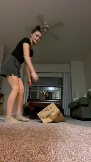 Effective Strategies for Catching Stray Cats