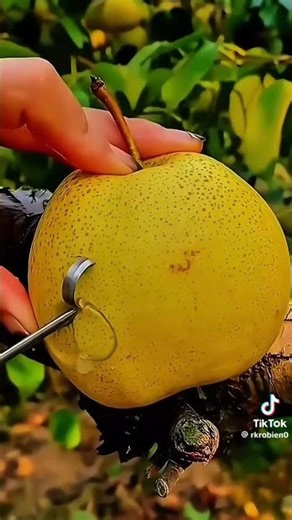 বেকার ছেলের জীবন। #viral #shortsviral