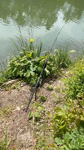 258K views · 3.3K reactions | Kanal Road Runner  | Fox International | Facebook