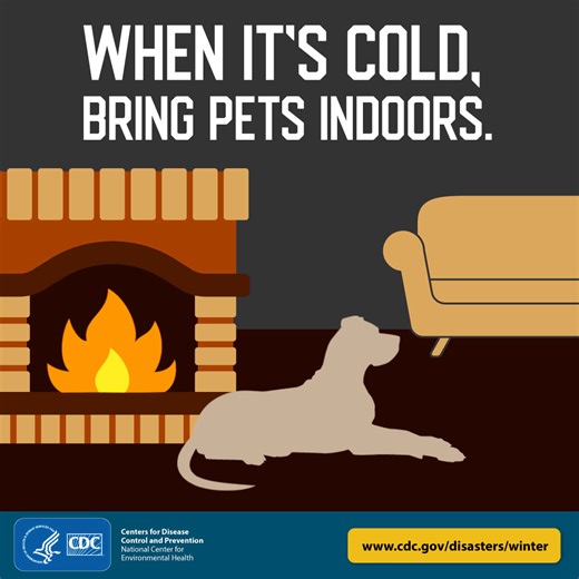CDC - Getting winter-ready includes pets, too! When it’s...