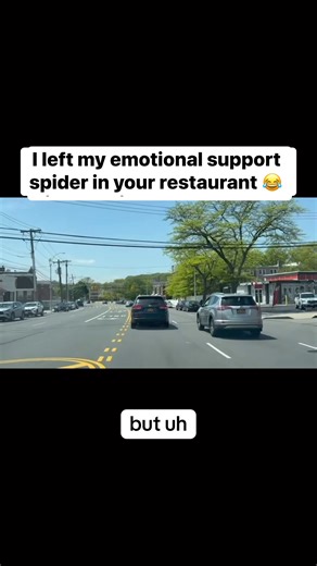 473K views · 2.9K reactions | I left my emotional support spider in your restaurant  #prankcall #restaurant #spider #fyp #viral Prank Calls | Prank Calls | Facebook