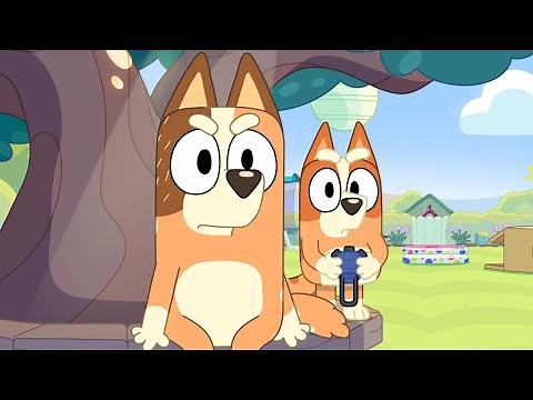 Chilli and Bingo's Angry Faces | Bluey