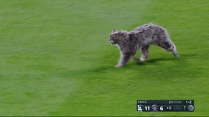 Get your weekend started with some of the funniest moments from Week 1. 😂 | MLB