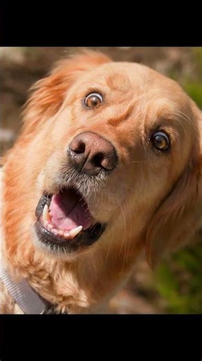 Ankle Breaker Of The Year? 😭💀