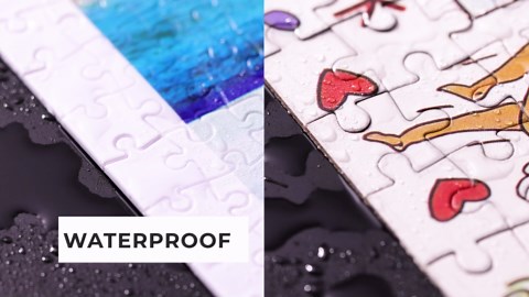 Pintoo Jigsaw Puzzles 500 Piece for Adults - Nyangsongi - Let's Go On a Picnic Beautiful Plastic Puzzle for Home Decor Zero Dust Easy Storage [H3179]