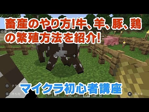 [Minecraft Beginner's Guide] How to Raise Livestock! Introducing how to breed cows, sheep, pigs, ...