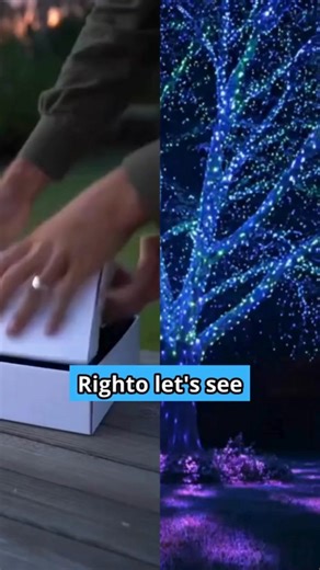 You know that ONE house everyone drives by to see the lights? The one where kids press their faces against car windows? Where Google Maps literally gets more traffic in December? That's about to be YOUR house. (Without spending your weekends on a ladder or hiring a crew) The HighBright™ is the cheat code for Christmas domination: 🎄 Covers your entire front yard in 3 minutes ✨ Professional starlight effect (the kind people pay thousands for) 🎮 Remote controlled (Red/Green for Christmas, then sw