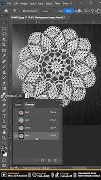 Photoshop Tips - How to Select Complex Objects Using Channels