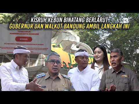 ZOO CHAOS EXTEND | BANDUNG GOVERNOR AND MAYOR TAKE THIS STEP