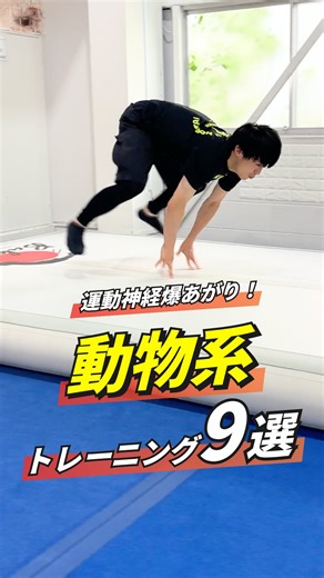 しゅん先生｜日本一が教えるバク転教室 on Instagram: "⇨@shun_bakuten こんばんは！しゅん先生です😊 今回は、 「アニマルトレーニング9選」 を紹介しました！ これをやれば運動神経爆上がり💥 親子で一緒にマネしてみよう✊🏻 ⚠️怪我をしないように、安全なところでやってね！ ∽∽∽∽∽∽∽∽∽∽∽∽∽∽∽∽∽∽∽∽∽∽∽∽∽∽∽∽ @shun_bakutenでは、 ◻︎ ダンス・チアですぐ使える技 ◻︎ ぐんぐん伸びる！練習法🔥 ◻︎ おうちでできるトレーニング🤸 など、 お子さんの「やってみたい！」を応援する ママのための情報を発信中です✨ 「頑張ってるのに伸び悩んでる…」 「この子に合った練習法が知りたい」 そんなママたちの味方になります😌 フォローするだけで、 日々の練習がちょっと前向きに♪ 親子での挑戦を、 もっと楽しくしていきましょう☺️ ⇨@shun_bakuten ∽∽∽∽∽∽∽∽∽∽∽∽∽∽∽∽∽∽∽∽∽∽∽∽∽∽∽∽ 「バク転パーソナル教室」は 全国30店舗展開中✨ 悩みに寄り添い、 一人ひとりに合った教え方で、 “やってみたい”を