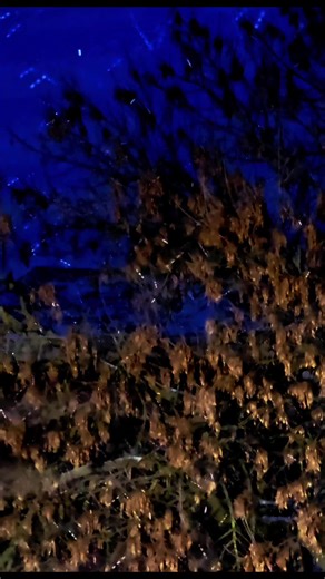 #zima #zimawmieście🌨️🌬️❄️ #nastrój Czy lubisz zimę? Co w niej lubisz (lub nie) najbardziej? Spadające płatki potrafią zrelaksować 🙂 💙❄️❄️❄️