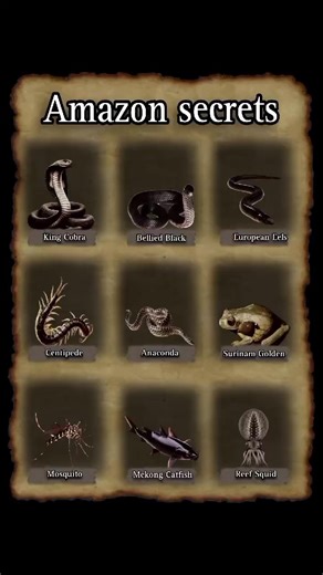 Reef Squid 😱😱😱#mythcialcreature #foryou #foryoupage #virulvideo #unfreezemyaccount #worldrecord🌎