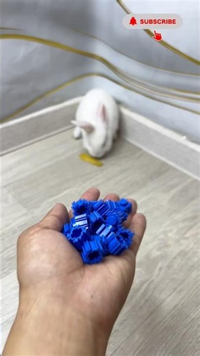 LEGO Bunny Reverse 🐰🧱 | Oddly Satisfying Reverse ASMR Compilation #asmr #satisfying #shorts