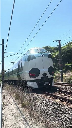 【JR西日本287系】パンダくろしお高速通過2（JR West 287 series Panda Kuroshio passing through station2）