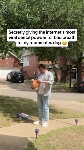 64 reactions | ✨The New ProBright Advanced Dog Dental Powder Is Here ✨  Backed by 2 clinical trials ‍⚕️ Formulated by vets & nutritionists ⭐️ Thousands of 5 star reviews  Over 3 million PetLab Co customers | PetLab Co. | Facebook