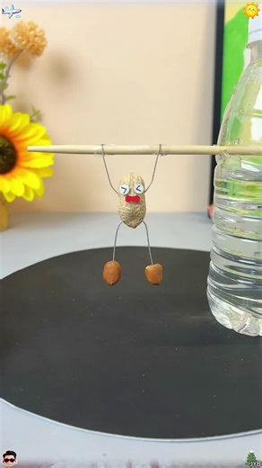 Practical Life Hacks and Science Experiments to Try