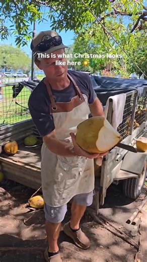 This is what Christmas looks like in Port Douglas ☀️🎄 Blue skies, warm weather, festive markets and a tropical twist on the holidays. Spend the season where summer never ends. 🎥 @amys.camera.lens #Coconutgrove #coconutgroveportdouglas #portdouglas #visitportdouglas #portdouglasdaintree | Coconut Grove Port Douglas