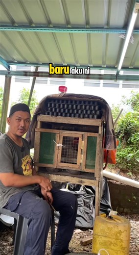 Cara Jinakkan Ayam Hutan dengan Murah dan Berkesan