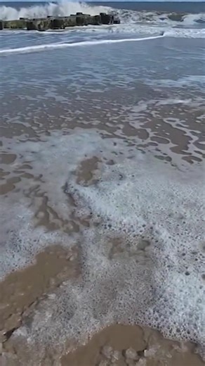 A routine summer evening turned alarming in Rehoboth Beach after a swimmer went missing offshore Saturday night. | CoastTV News