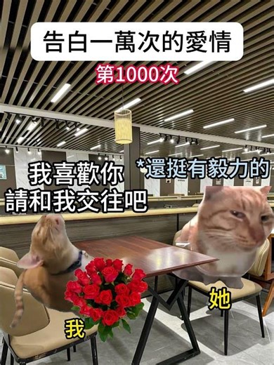 【😺CatDramaCorner】A Love Confessed Ten Thousand Times #cat #catmememini-drama #00s #shorts #shortv...