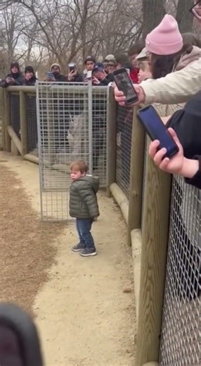 everyone froze when this happened…