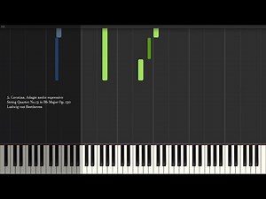 Cavatina - String Quartet No.13 in B♭ Major Op. 130 - L.v. Beethoven - Synthesia Piano Tutorial