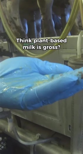 People love to call plant-based milk “gross,” but do you really know what's in