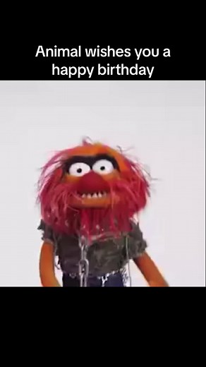IT’S MY BIRTHDAY😁#muppets #muppetshow #animal #happybirthday