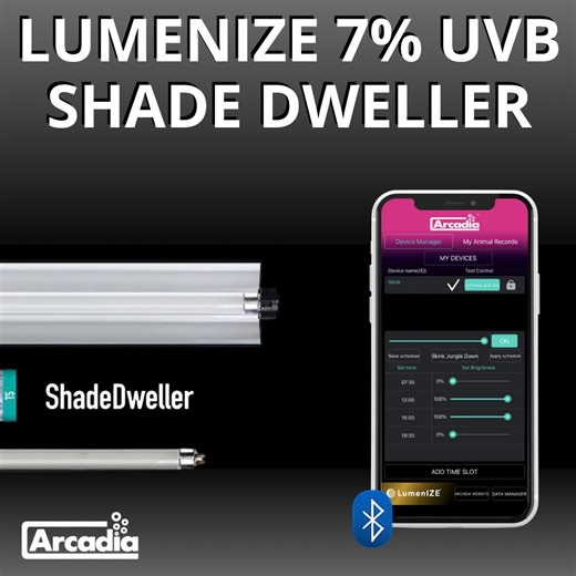 Arcadia 7% UVB D3 ShadeDweller Lighting, 12" (sku: RARLZ8SZ) | ReptiChip LLC | Reviews on Judge.me