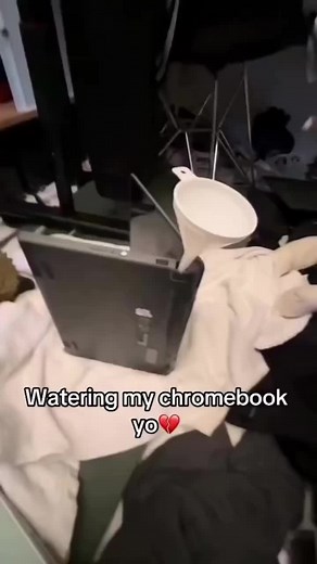 Creative F Students and Their Chromebook Destruction