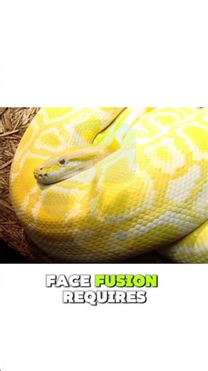 The "App Store" for Opensource AI Tools 🤯 (Pinokio Tutorial)