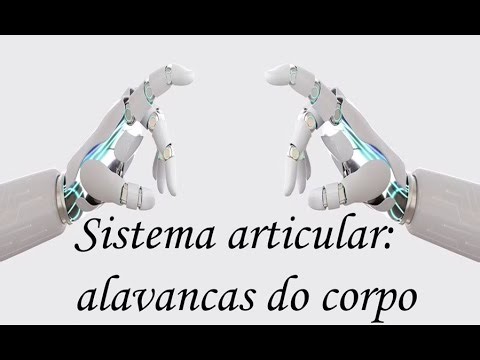 Sistema articular - alavancas no corpo humano.
