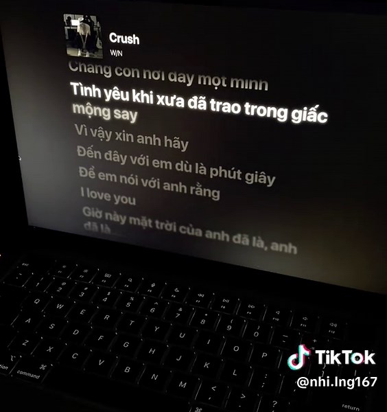 Crush Lyrics: The Perfect Song for You