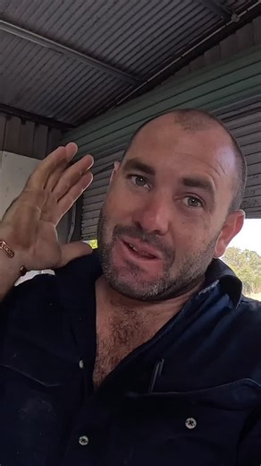 Elenya Dixon & Nick Mckechnie on Instagram: "Building the ‘shell’ of the camper! It was crazy to finally be able to stand in the space of where all 6 of us will live for the next part of our adventure 😜☺️ Come with us as we build our own home from scratch 😜 Our plan is to build a camper on the back of our 4x4 Truck and continue travelling around Australia Fulltime as a Family of 6 🫣 it’s going to be a tight squeeze but we are ready for some new adventures 🤠 • Head over to our YouTube Channel