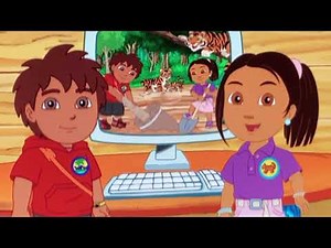 Bengal Tiger 🇦🇺