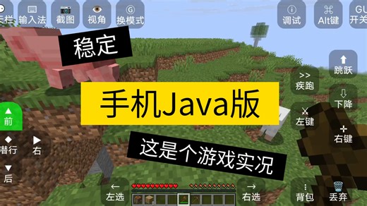 [ZL2]Java版游戏实况，天玑6020？6020也能带动，你真的会看这个视频吗？就这个封面