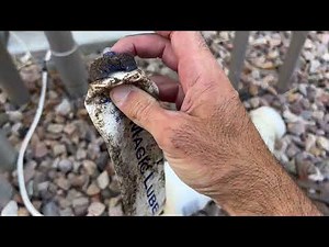 Don't Do This With Your Salt Cell