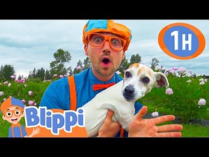 Blippi Visits an Animal Farm! | 1 HOUR OF BLIPPI TOYS | Animal Videos for Kids - Videos For Kids