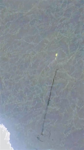 Ice Fishing Tips for Successful Perch Catching